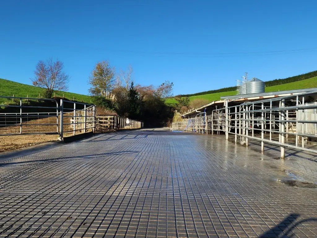 Livestock Improvements — Waikato
