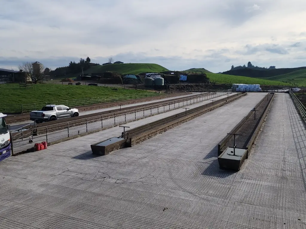 Feed pad — Waikato