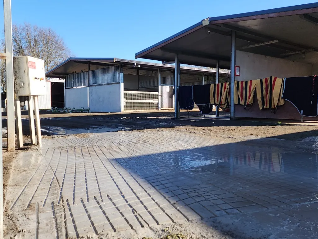 Horse stables — wash and walkway area